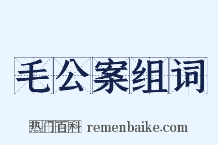毛公案组词是什么意思的图片
